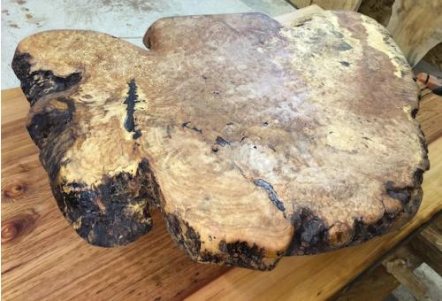 Maple Burls